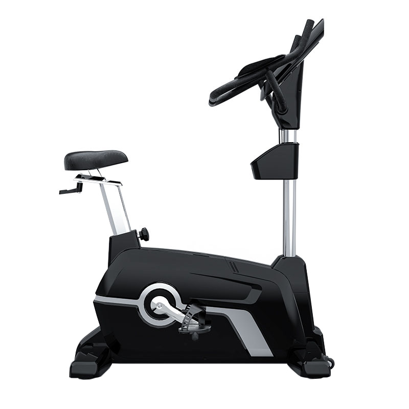 Commercial Upright Bike